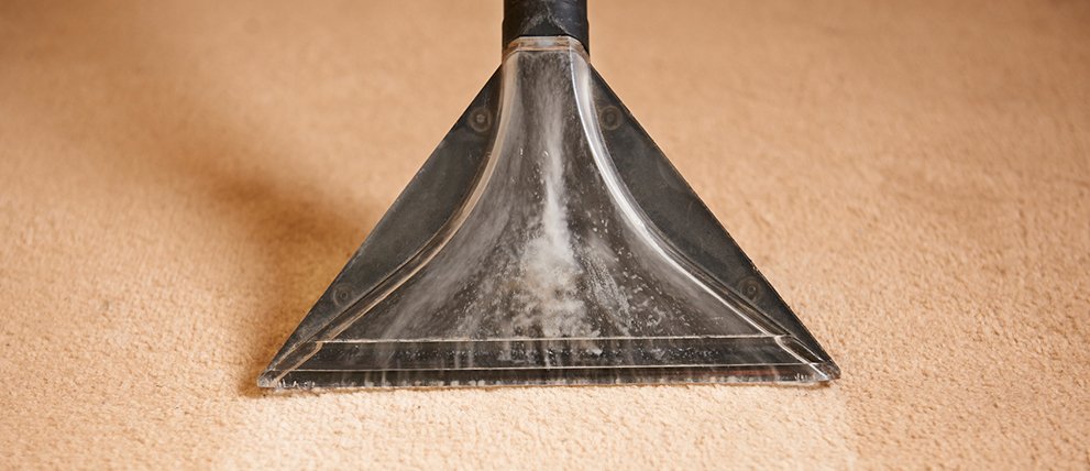 Apartment Carpet Cleaning