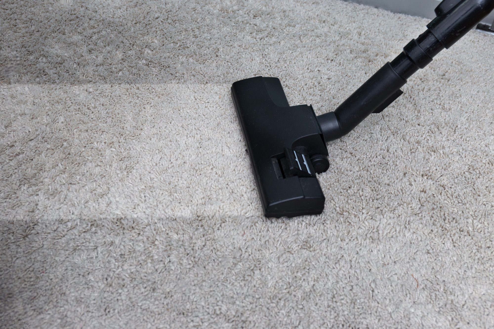 Top Signs It’s Time for a Professional Carpet Cleaning MasterClean