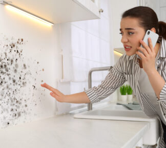 How Mildew and Mold Can Stain Walls