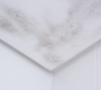 How Does Summer Humidity Affect Mold Growth Indoors?